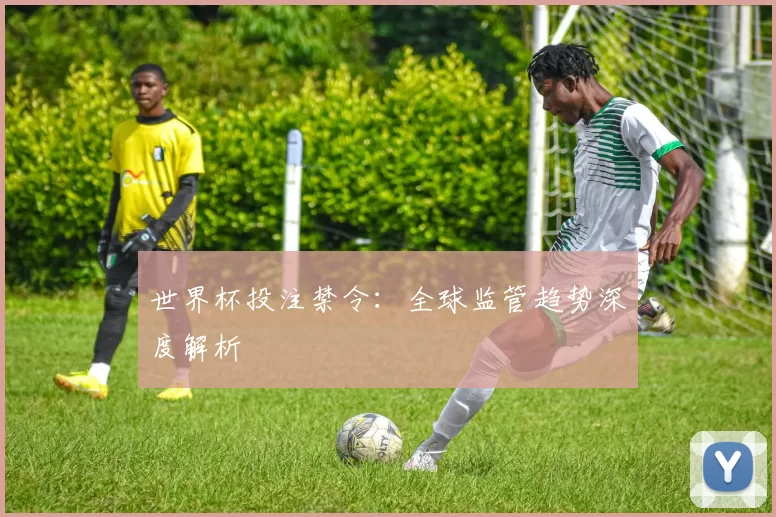 世界杯投注禁令:全球监管趋势深度解析