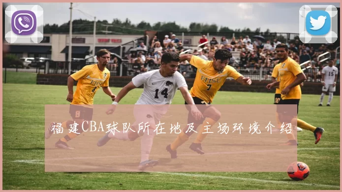 福建CBA球队所在地及主场环境介绍