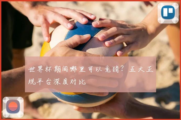 世界杯期间哪里可以竞猜？五大正规平台深度对比