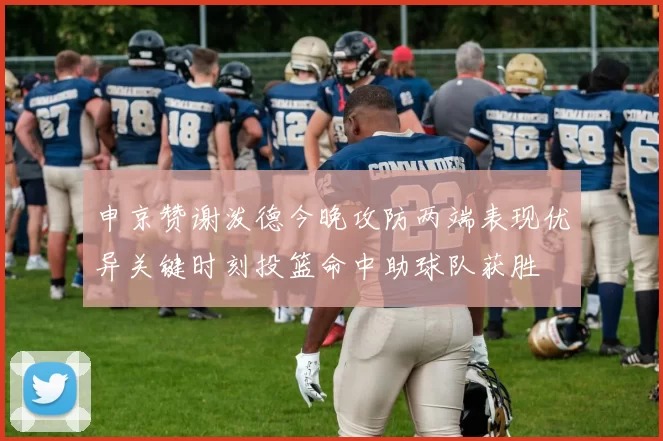 申京赞谢泼德今晚攻防两端表现优异关键时刻投篮命中助球队获胜