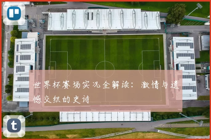 世界杯赛场实况全解读：激情与遗憾交织的史诗
