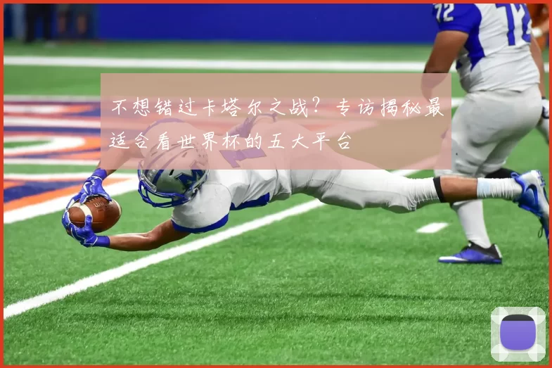 不想错过卡塔尔之战？专访揭秘最适合看世界杯的五大平台