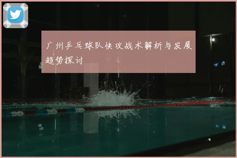 广州乒乓球队快攻战术解析与发展趋势探讨