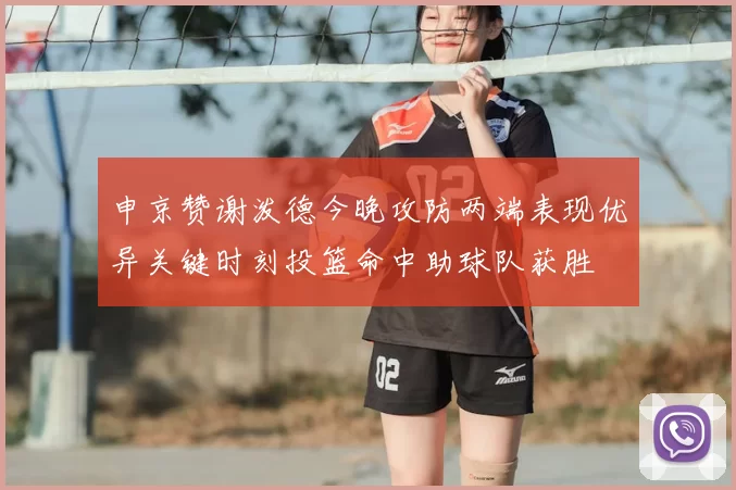 申京赞谢泼德今晚攻防两端表现优异关键时刻投篮命中助球队获胜
