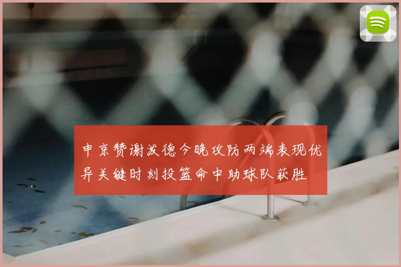 申京赞谢泼德今晚攻防两端表现优异关键时刻投篮命中助球队获胜