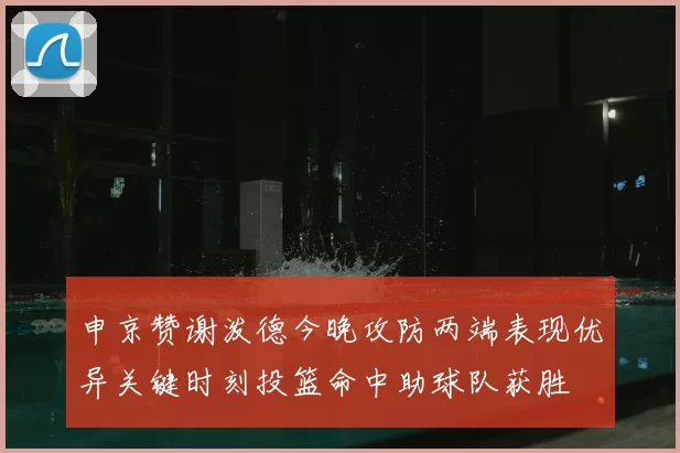 申京赞谢泼德今晚攻防两端表现优异关键时刻投篮命中助球队获胜