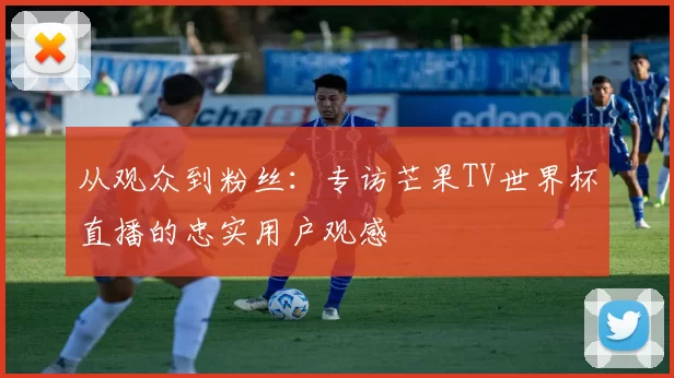 从观众到粉丝：专访芒果TV世界杯直播的忠实用户观感