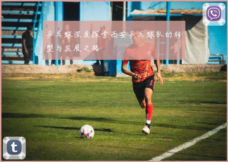 乒乓球深度探索西安乒乓球队的转型与发展之路