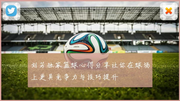 刘芳独家篮球心得分享让你在球场上更具竞争力与技巧提升
