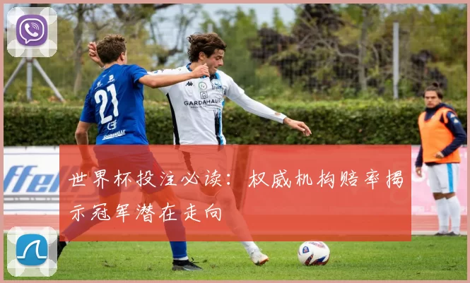 世界杯投注必读：权威机构赔率揭示冠军潜在走向