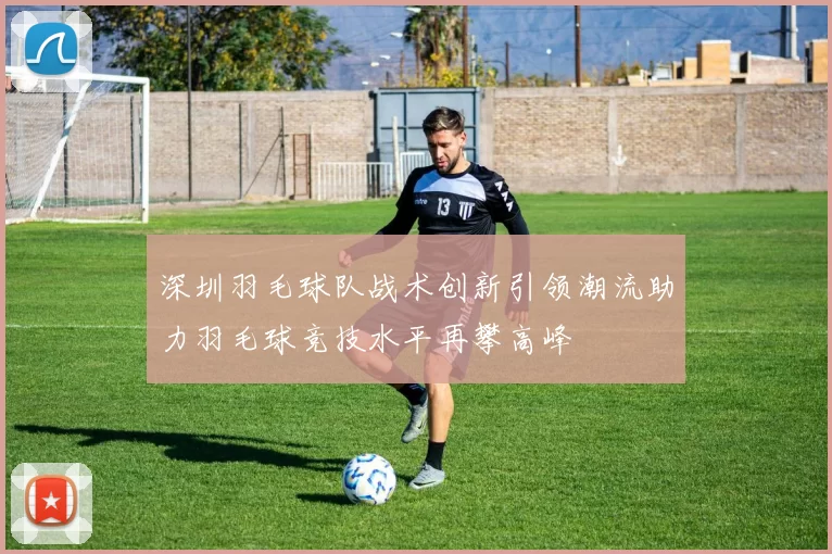 深圳羽毛球队战术创新引领潮流助力羽毛球竞技水平再攀高峰