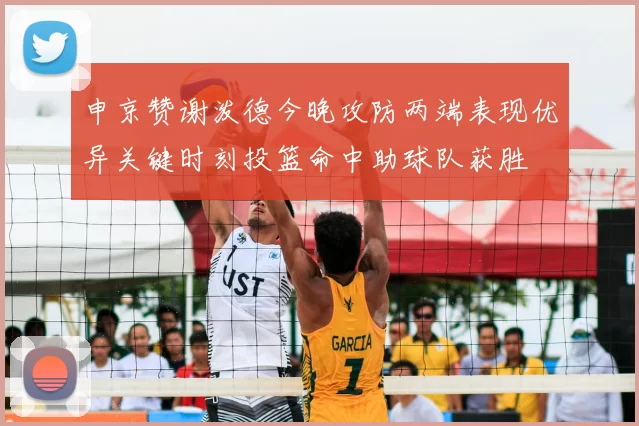申京赞谢泼德今晚攻防两端表现优异关键时刻投篮命中助球队获胜