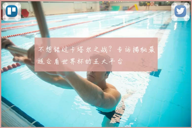 不想错过卡塔尔之战？专访揭秘最适合看世界杯的五大平台