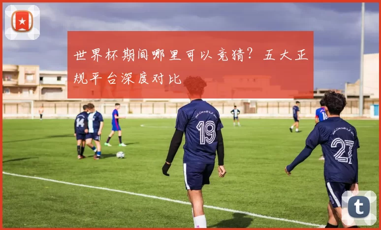世界杯期间哪里可以竞猜？五大正规平台深度对比