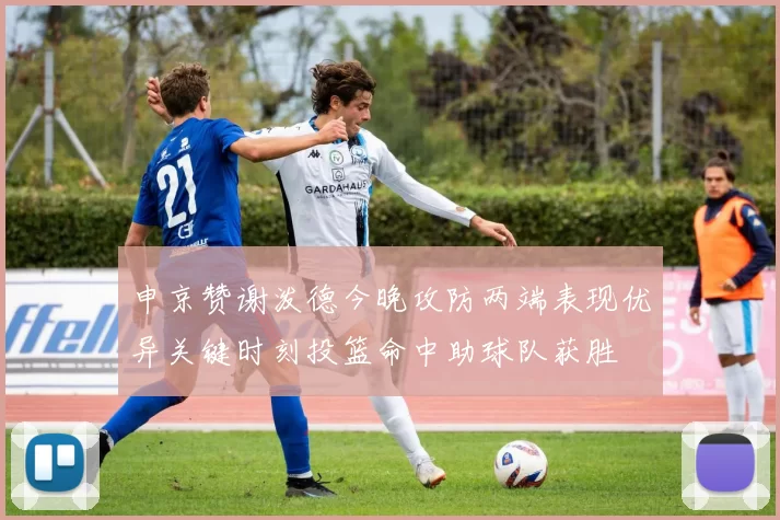 申京赞谢泼德今晚攻防两端表现优异关键时刻投篮命中助球队获胜