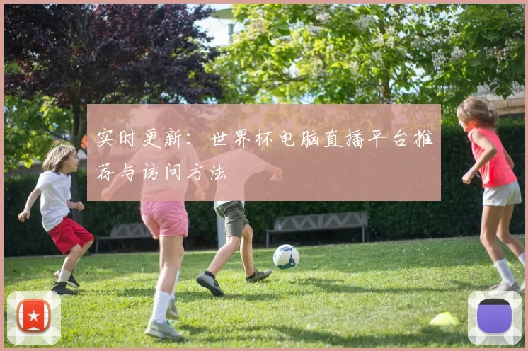 实时更新：世界杯电脑直播平台推荐与访问方法
