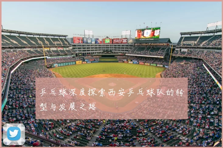 乒乓球深度探索西安乒乓球队的转型与发展之路