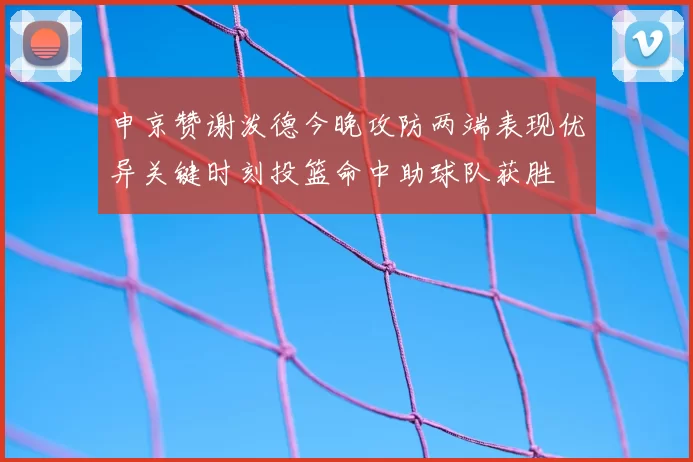 申京赞谢泼德今晚攻防两端表现优异关键时刻投篮命中助球队获胜