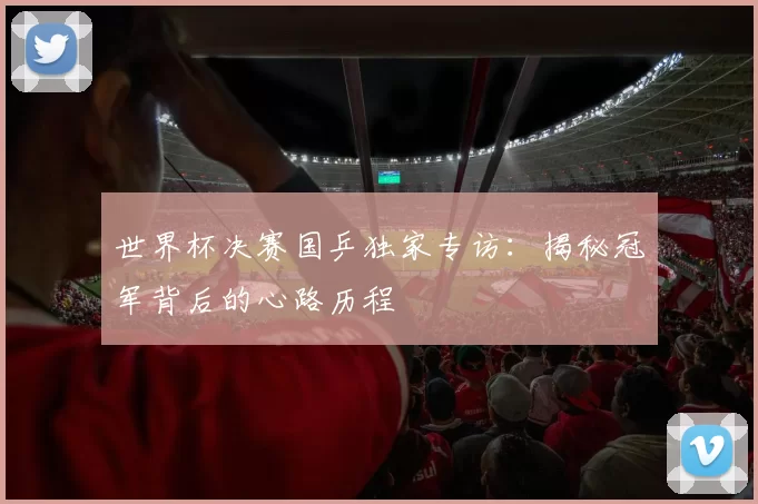 世界杯决赛国乒独家专访：揭秘冠军背后的心路历程